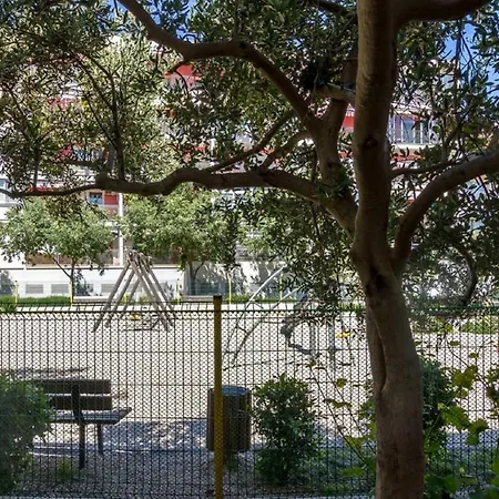 Marasovic - Roko * Спліт