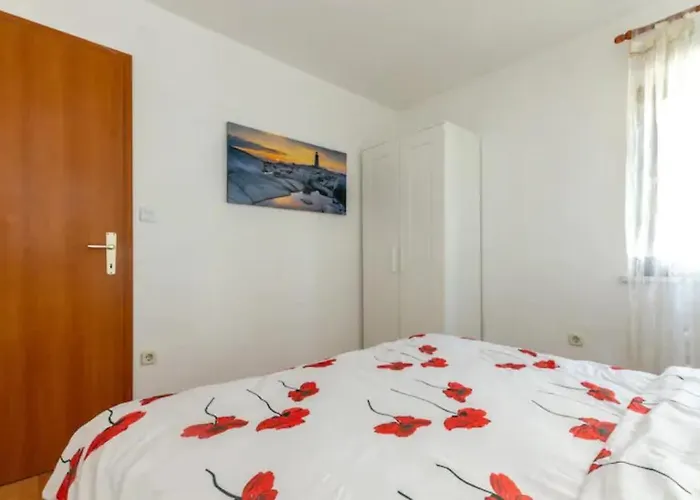 Marasovic - Roko Split