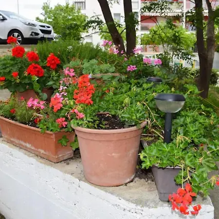 Apartments Marasovic - Roko * سبليت